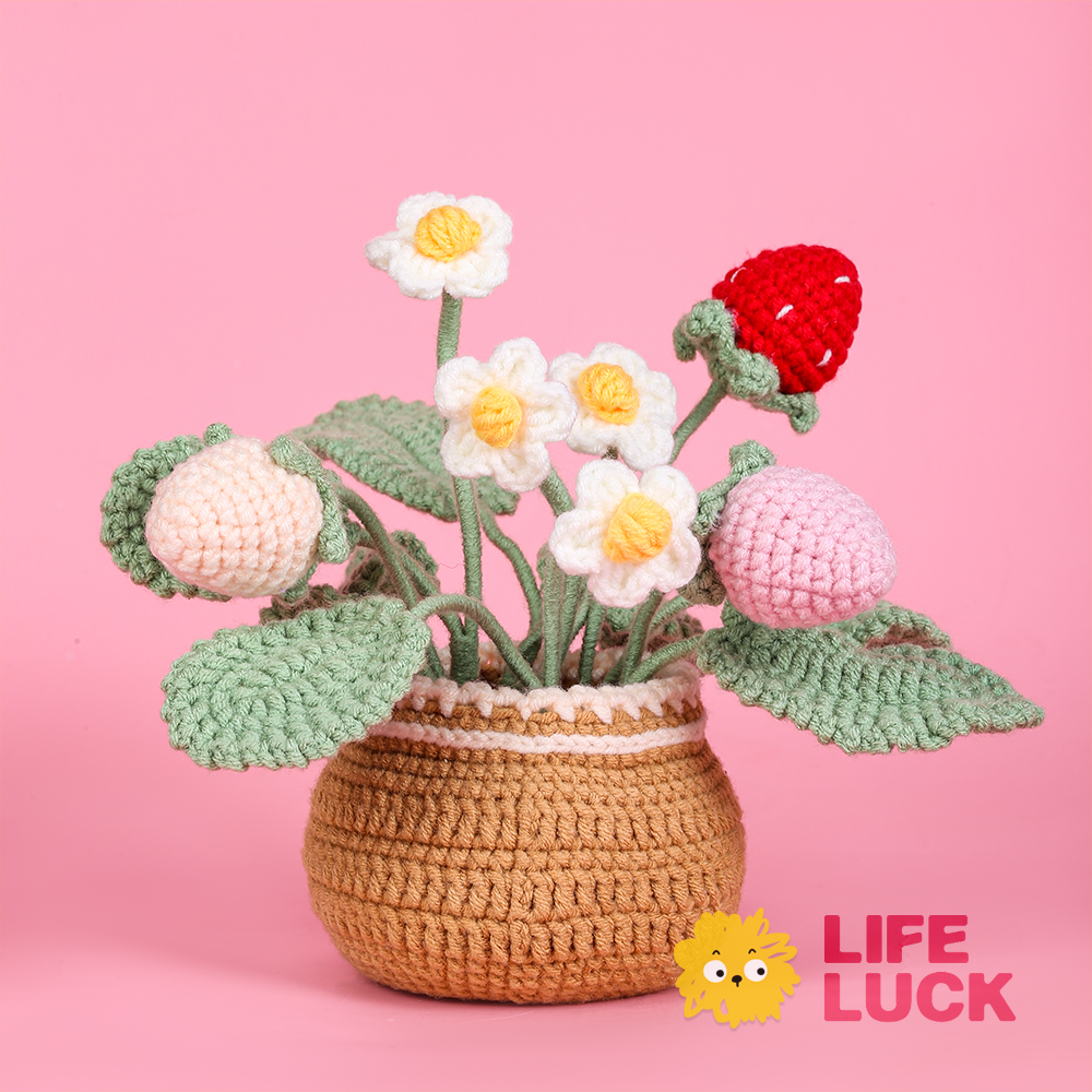 Crochet Kit For Beginners - Strawberry