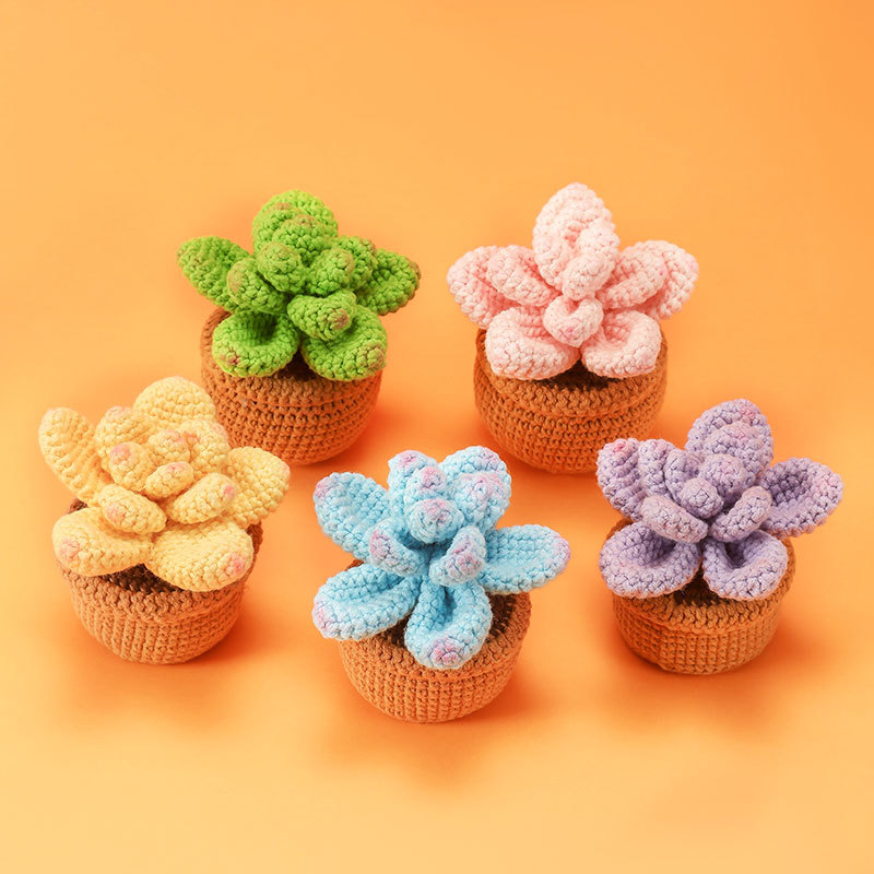 Succulents Potted Plant 4Pcs Crochet Kit
