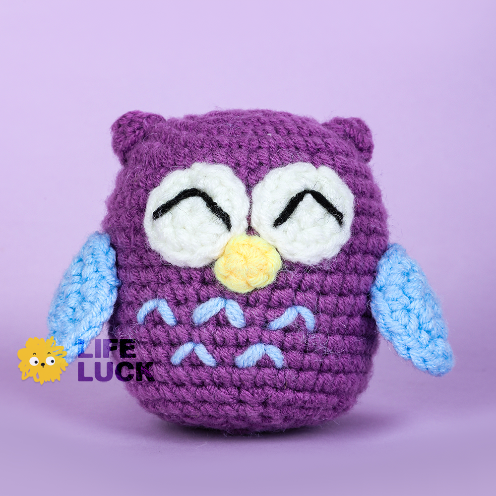 Crochet Kit For Beginners - Owl