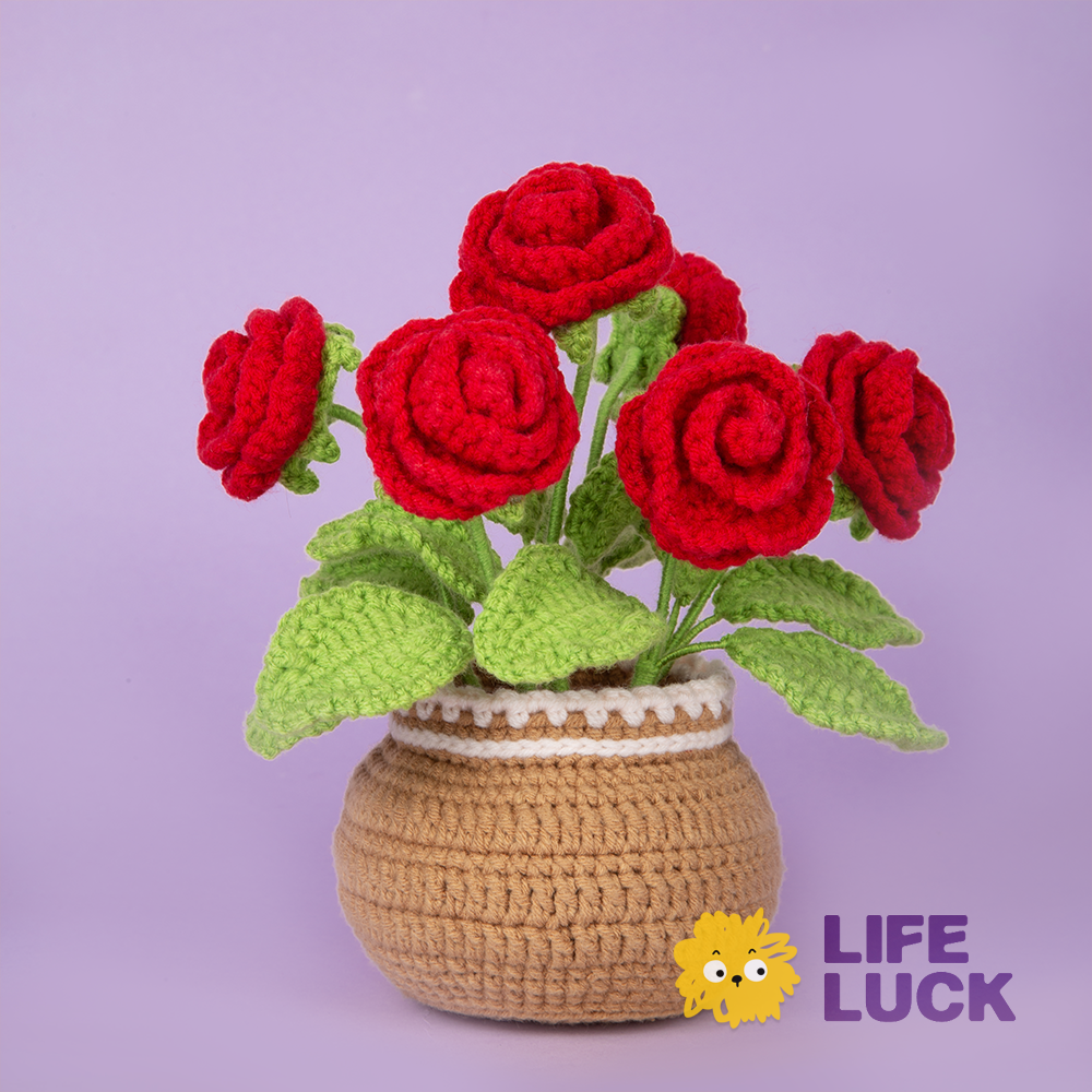 Crochet Kit For Beginners - Rose